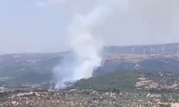 Bergama'da orman yangını!